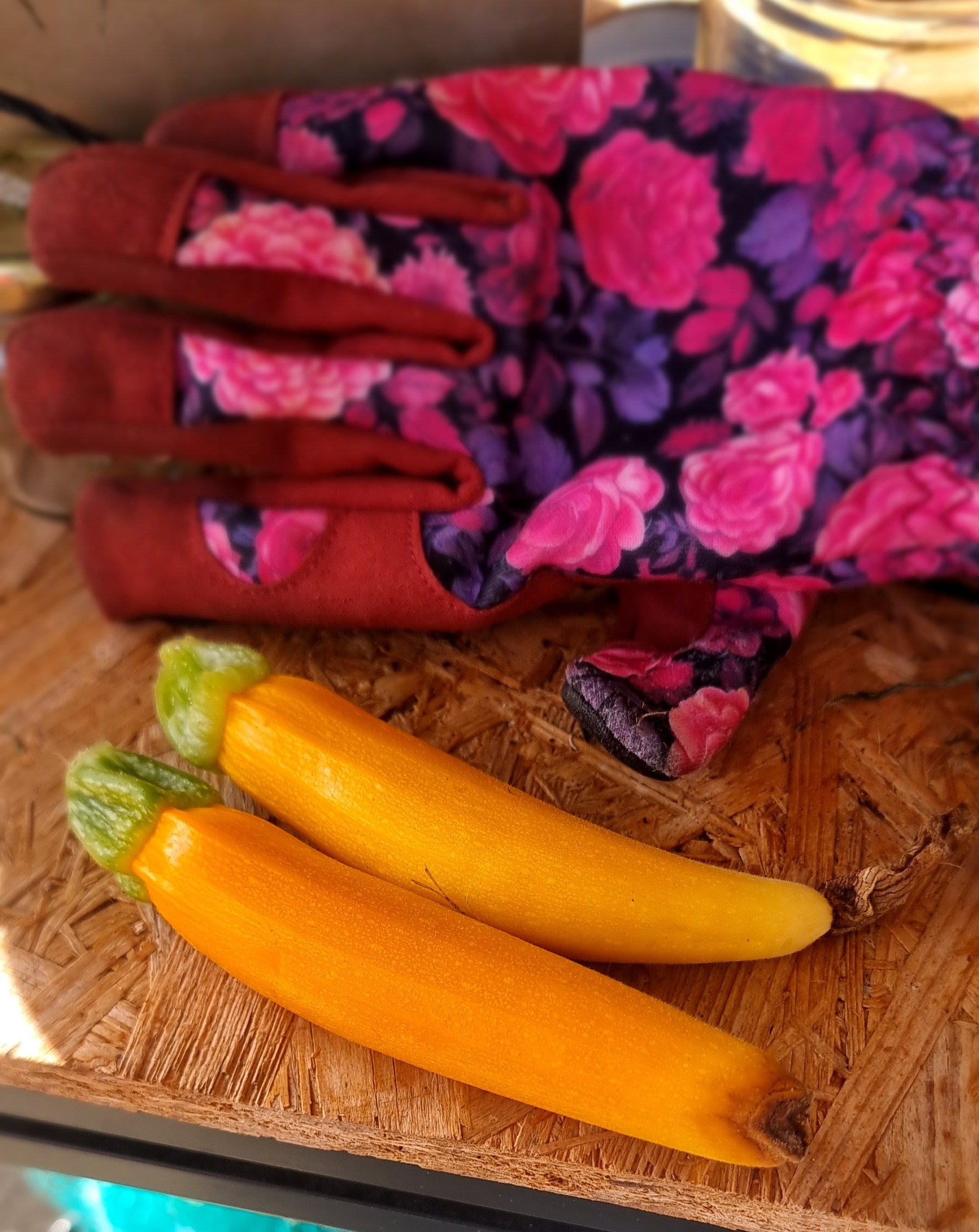Zwei deformierte gelbe Zucchini mit Blütenendfäule liegen auf einem Holztisch neben bunten Gartenhandschuhen mit Blumenmuster.