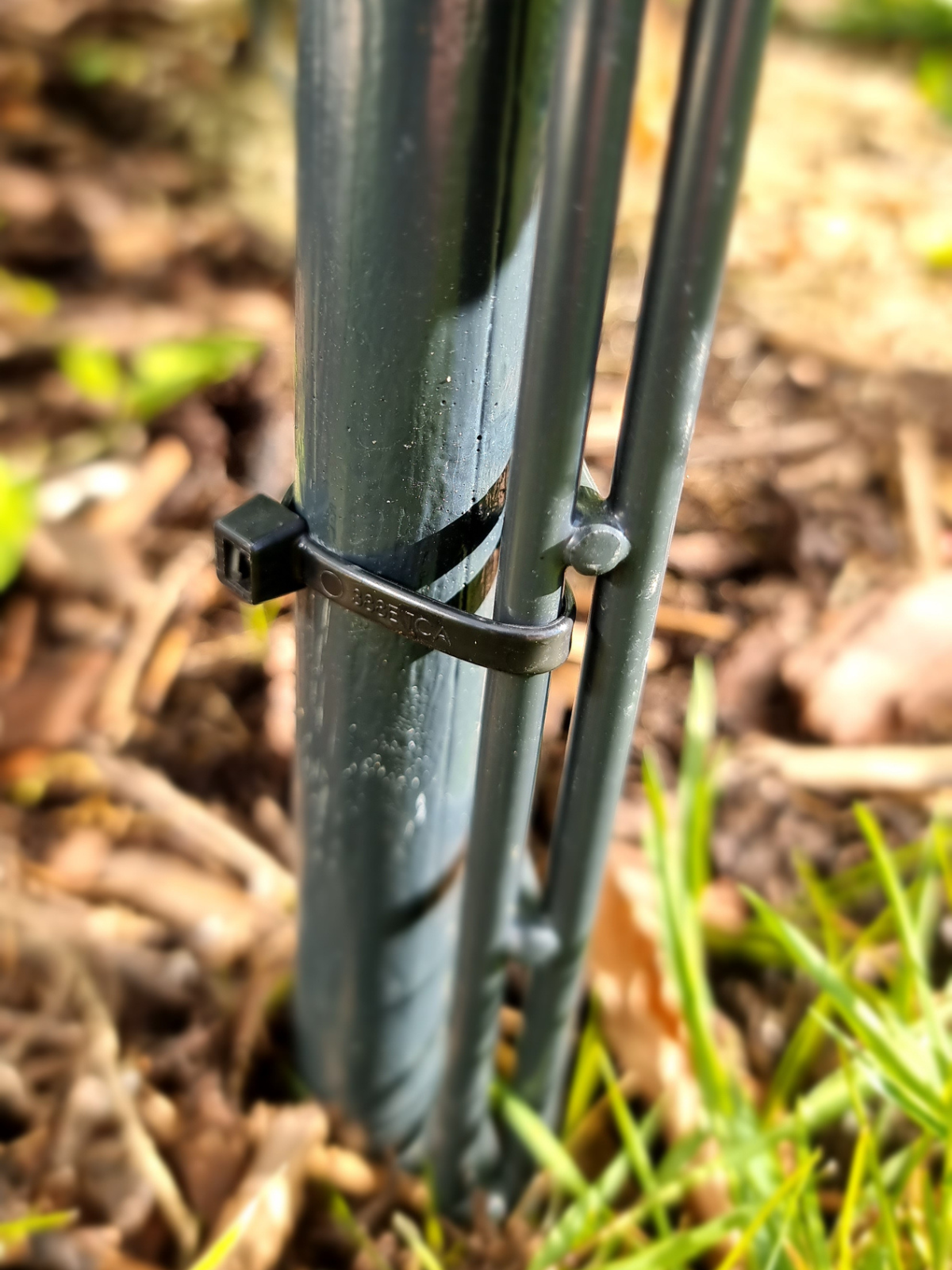 Detailaufnahme Rankhilfe Befestigung mit Kabelbinder an Metallstange